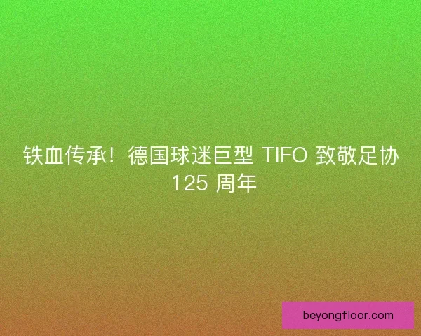 铁血传承！德国球迷巨型 TIFO 致敬足协 125 周年